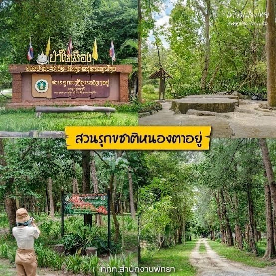 สวนรุกขชาติหนองตาอยู่ แหล่งท่องเที่ยวของจังหวัดชลบุรี